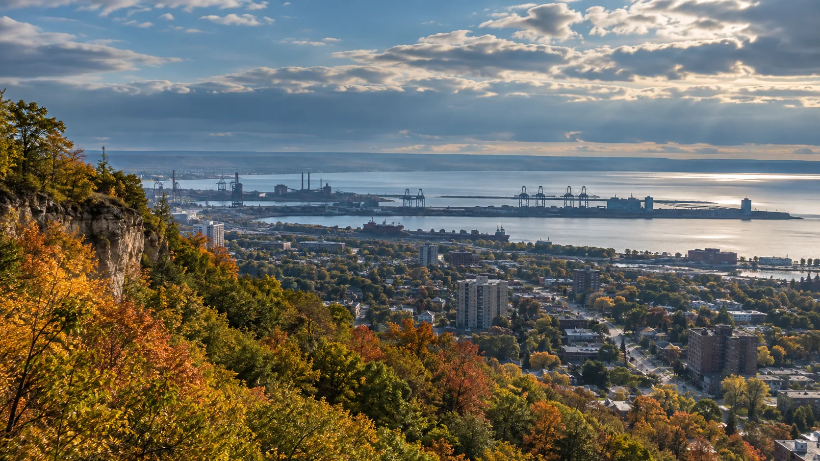 Autumn treetops on an escarpment brow overlooking a harbour, port cranes and lower-city streets in Hamilton